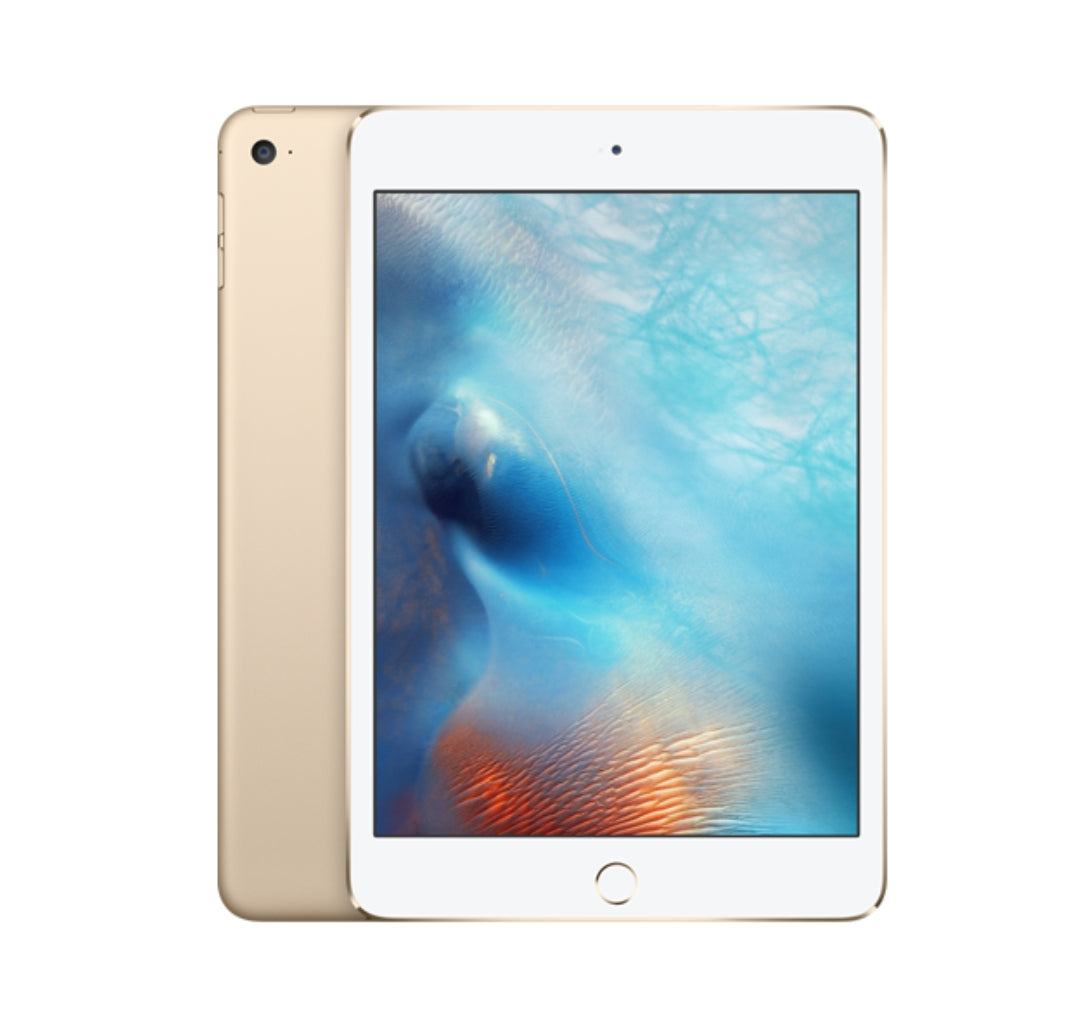 Repair iPad Mini 4